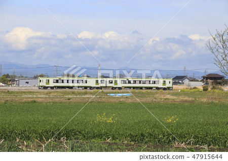 Hachimog Line Kiha 110 shape Hachimog Line Kiha 110 shape 47915644