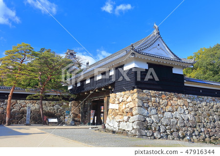 [高知縣]晴朗天氣下的高知城塔和大手門 47916344