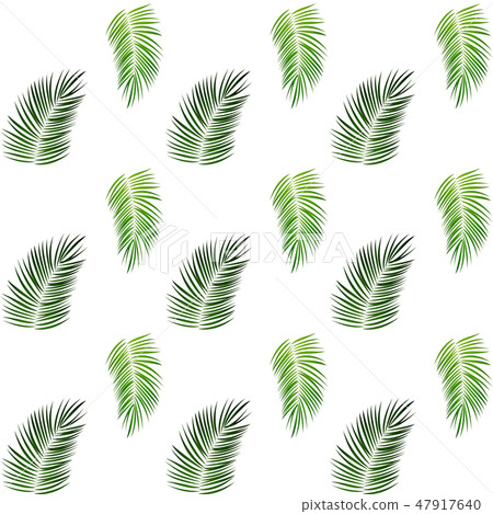 Palm Trees on White Background. Seamless pattern.n 47917640
