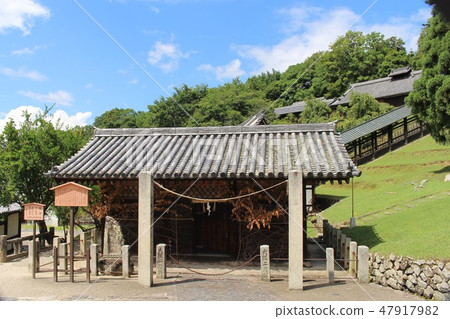 Todaiji Temple 47917982