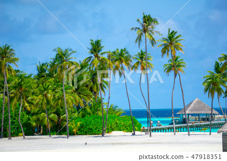 The beach The beach 47918351