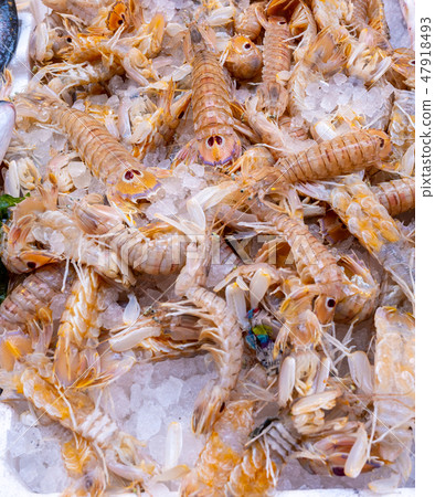 Fish at seamarket Fish at seamarket 47918493