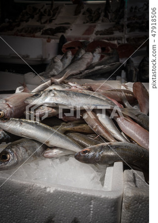 Open fish market Open fish market 47918506
