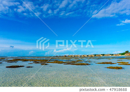 海灘度假村 海灘度假村 47918688