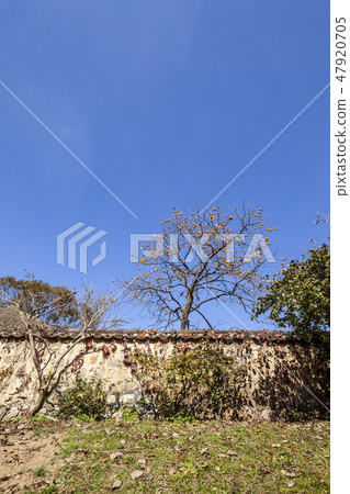 龍仁民俗村 47920705