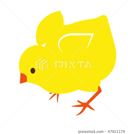 cute spring yellow vector little easter chick 47921179