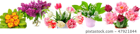 tulips, lilies of the valley, lilac and primroses 47921844