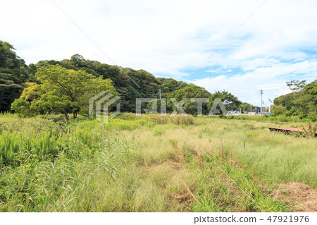 Small retail 47921976