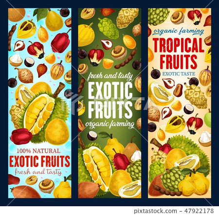 Exotic fruits, organic tropic fruit harvest Exotic fruits, organic tropic fruit harvest 47922178