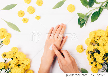 Female's hands holding mobile phone  47922423