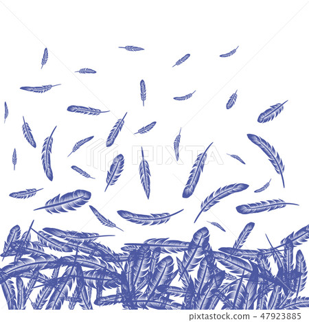Blue Feathers Pattern Blue Feathers Pattern 47923885