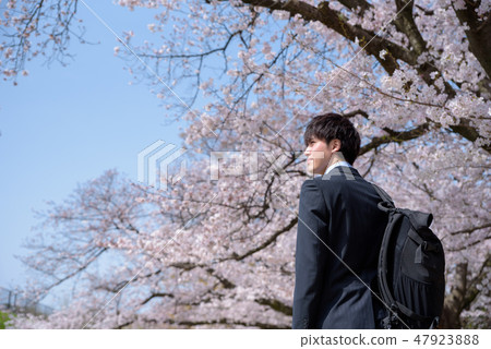 新社會人士新人 新社會人士新人 47923888
