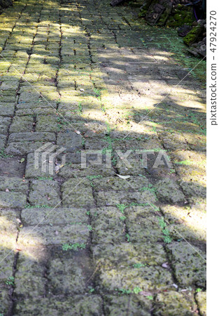 old pavement old pavement 47924270