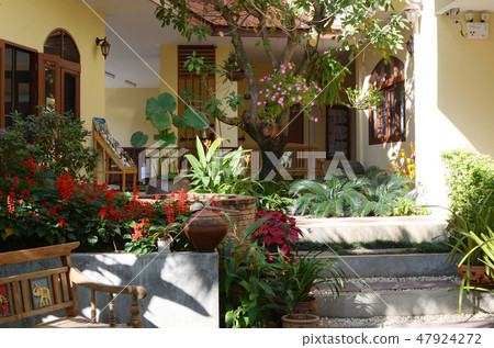 beautiful yard 47924272