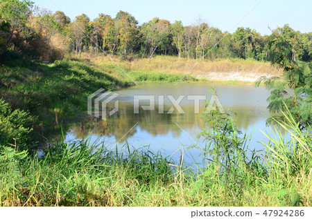 tropical lake 47924286