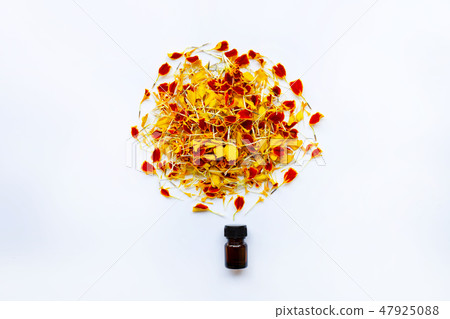 Essential oil of marigold flower on white Essential oil of marigold flower on white 47925088