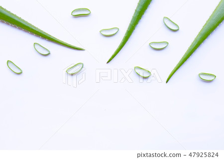 Aloe vera and slices on white background. Aloe vera and slices on white background. 47925824