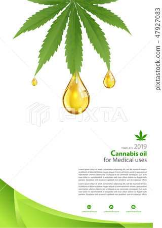 Marijuana plant and cannabis oil bottles vector. Marijuana plant and cannabis oil bottles vector. 47927083