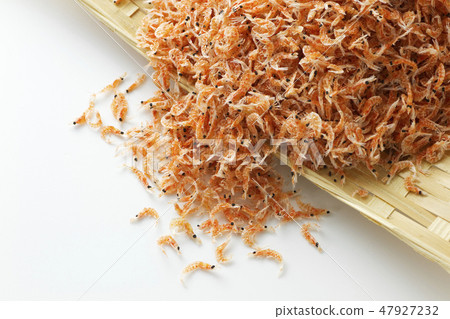 Krill 12 47927232