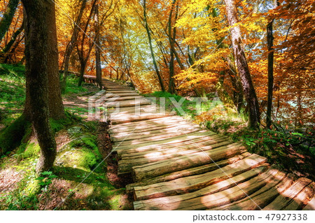 Beautiful wooden path in Plitvice Lake, Croatia. 47927338