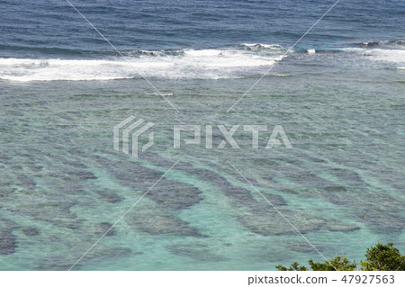 奄美大島的海洋海岸 47927563