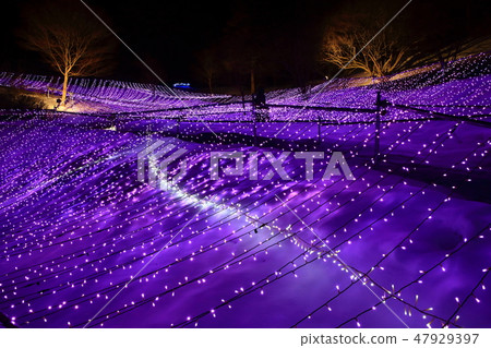 Ishigami no Oka Museum of Art Illuminations 47929397