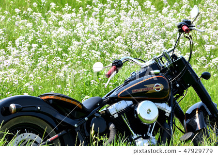 鮮花和摩托車 47929779