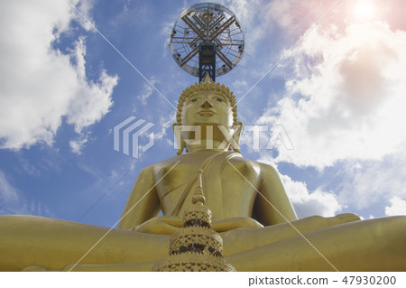 Yellow Gold large Buddha statues. Yellow Gold large Buddha statues. 47930200