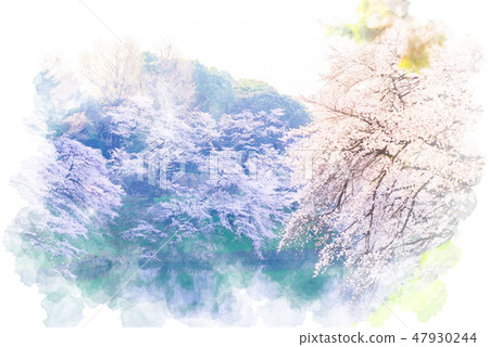 Cherry blossoms in full bloom watercolor style 47930244