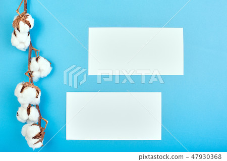 Flat lay of light blue background with branch of cotton flower. Cotton and blank paper. Flat lay Flat lay of light blue background with branch of cotton flower. Cotton and blank paper. Flat lay 47930368