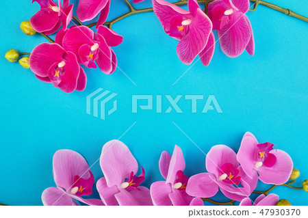 Floral background of tropical pink orchids on blue background. Copy space Floral background of tropical pink orchids on blue background. Copy space 47930370