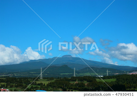 Tree, rural, pasture, new sow, hallasan 47930451