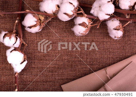Flower design with fluffy dried cotton bolls and gift boxes over rough brown burlap. Top view, copy Flower design with fluffy dried cotton bolls and gift boxes over rough brown burlap. Top view, copy 47930491