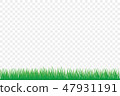 green grass isolate on white background 47931191
