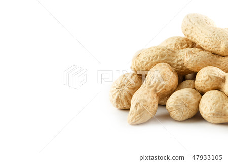 Peanuts. Two peeled nuts isolated on white back Peanuts. Two peeled nuts isolated on white back 47933105