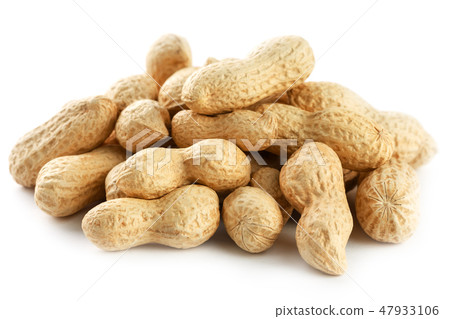 Peanuts. Two peeled nuts isolated on white back Peanuts. Two peeled nuts isolated on white back 47933106