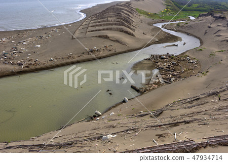 Coastal beach 47934714