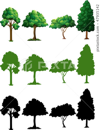 Set of tree design - Stock Illustration [47935142] - PIXTA
