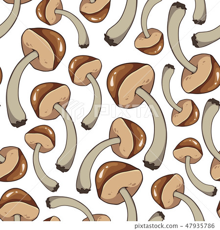 Mushroom seamless pattern. Hand drawn vector illustration. 47935786