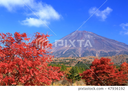 世界遺產富士山秋天Kiyonobu Nishi Usuka Shizuoka 世界遺產富士山秋天Kiyonobu Nishi Usuka Shizuoka 47936192