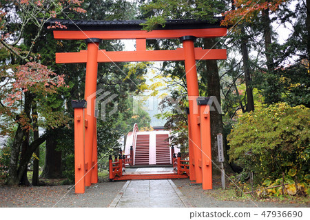 秋天Niyuu寺廟賣寺廟 47936690