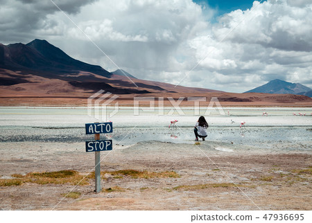 Girl taking a photo of flamingos 47936695