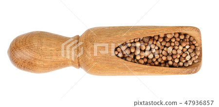 Cumin or caraway seeds in wooden spoon isolated on white background. Top view Cumin or caraway seeds in wooden spoon isolated on white background. Top view 47936857