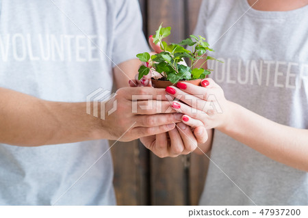 eco friendly volunteer plant nature protection eco friendly volunteer plant nature protection 47937200