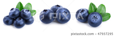 fresh blueberry with leaves isolated on white background closeup. Set or collection fresh blueberry with leaves isolated on white background closeup. Set or collection 47937295