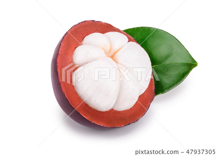 ripe mangosteen with leaves isolated on white background closeup ripe mangosteen with leaves isolated on white background closeup 47937305