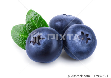 fresh blueberry with leaves isolated on white background closeup fresh blueberry with leaves isolated on white background closeup 47937321