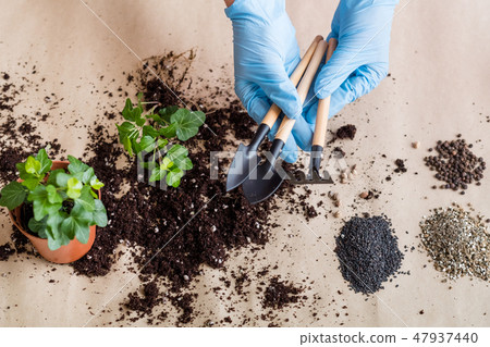 garden equipment tools indoor gardening replant garden equipment tools indoor gardening replant 47937440