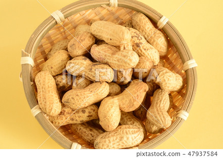 Domestic peanut 47937584