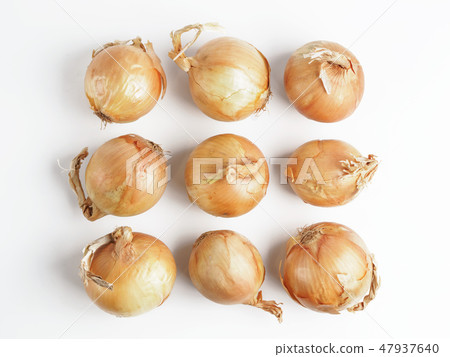 Onion seamless pattern isolated on white 47937640